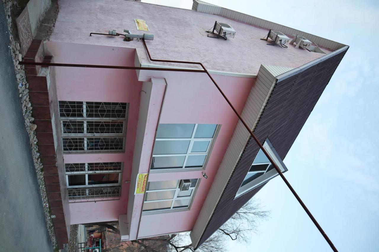 Ecopana Otel Turkistan Dış mekan fotoğraf